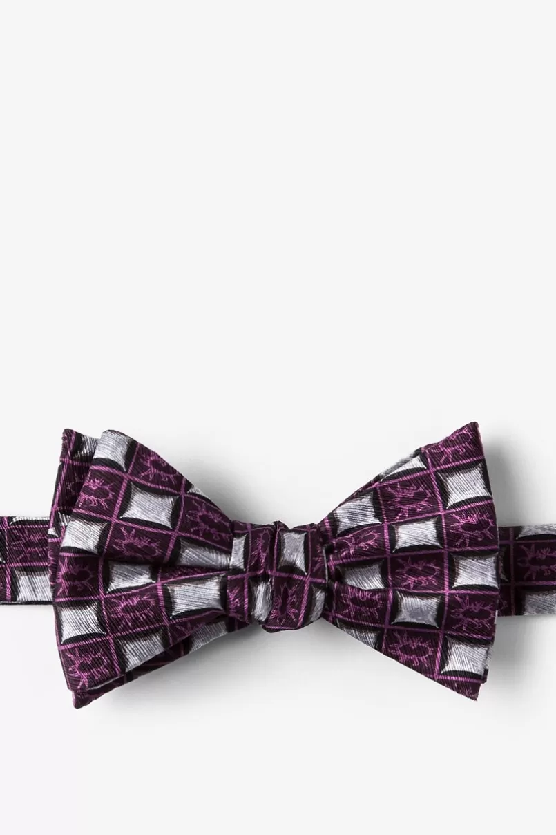 Ties Bed Bugs Purple Self-Tie Bow Tie Cheap