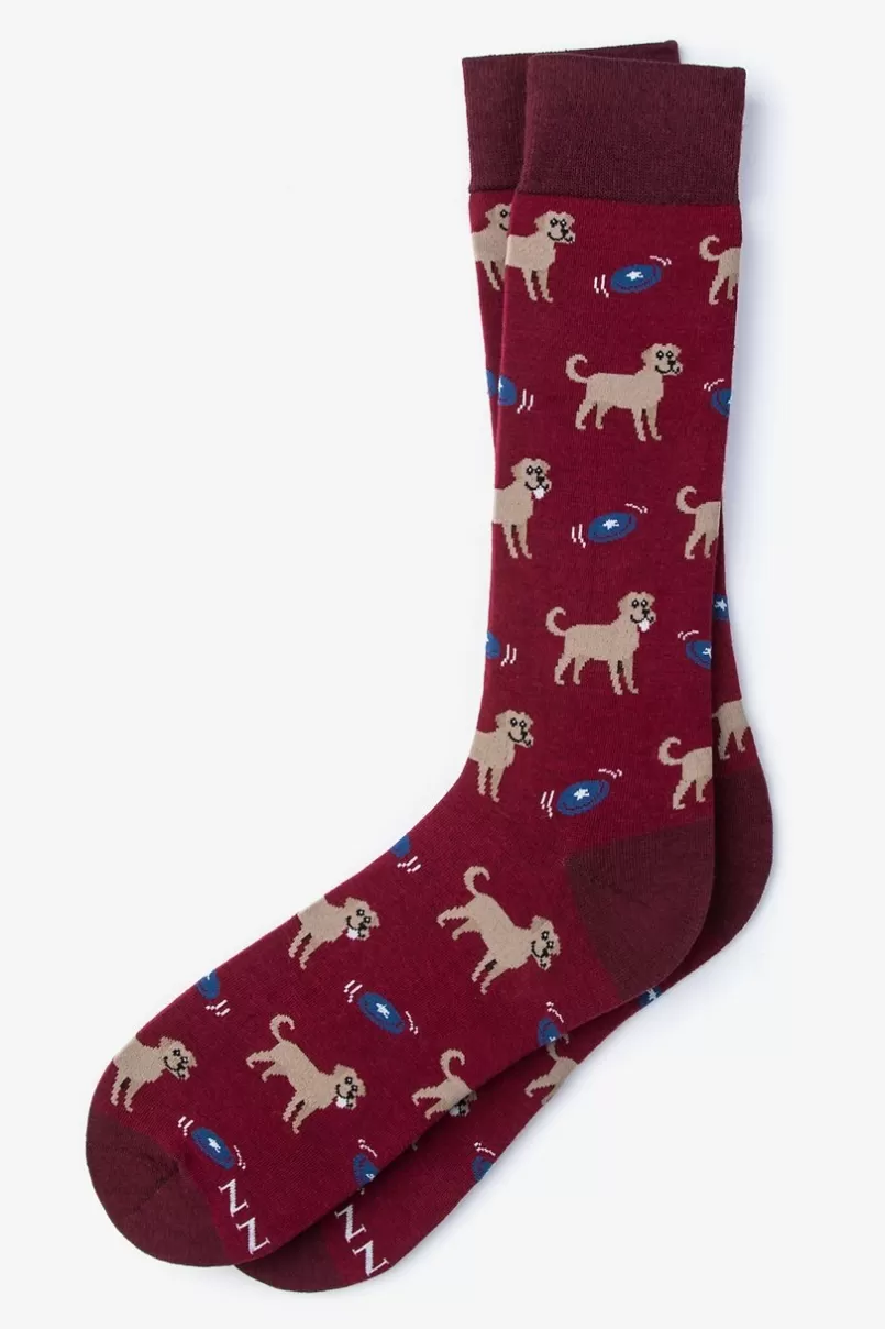 Ties Golden Retriever Sock Red Sale