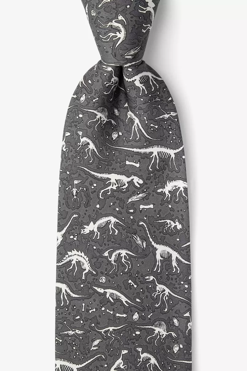 Ties I Dig Fossils Tie Gray New