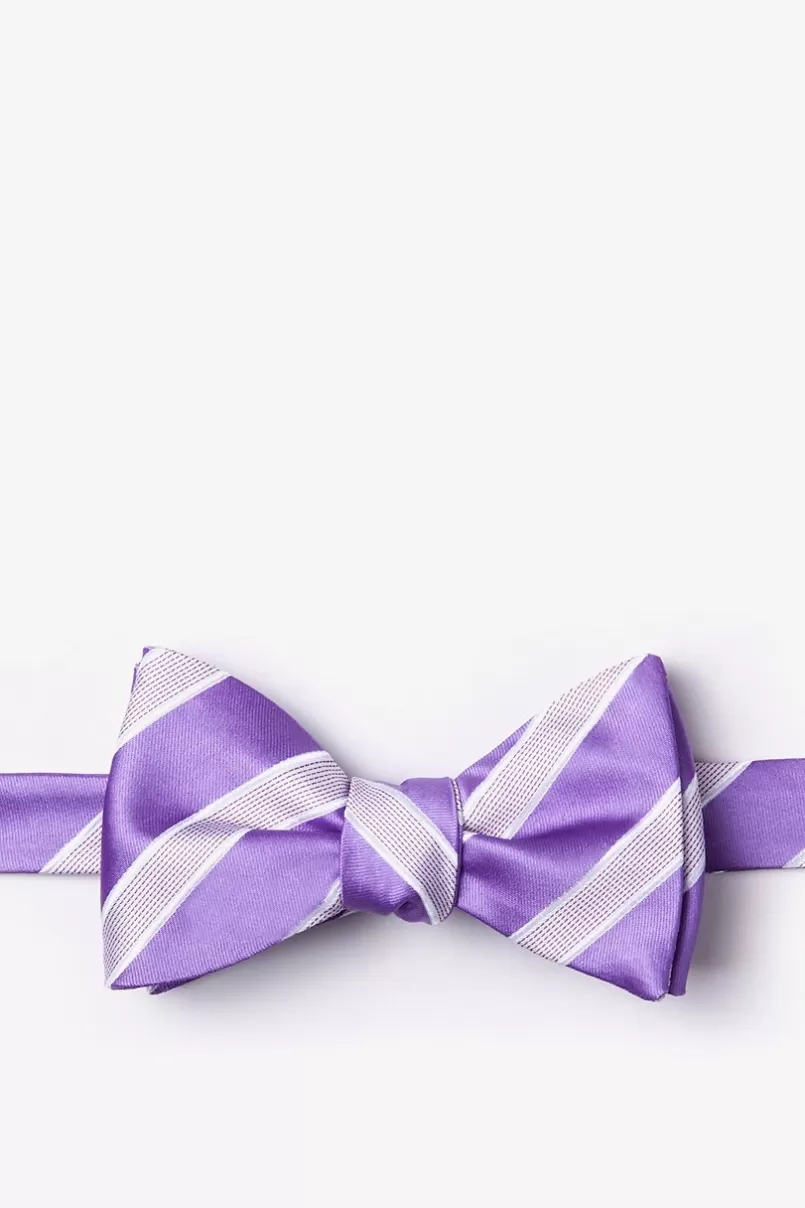 Ties Jefferson Stripe Self-Tie Bow Tie Purple Shop