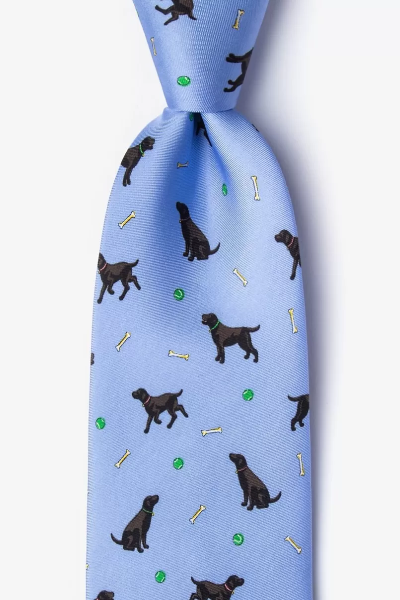 Ties Lab Assistant Light Blue Tie Hot