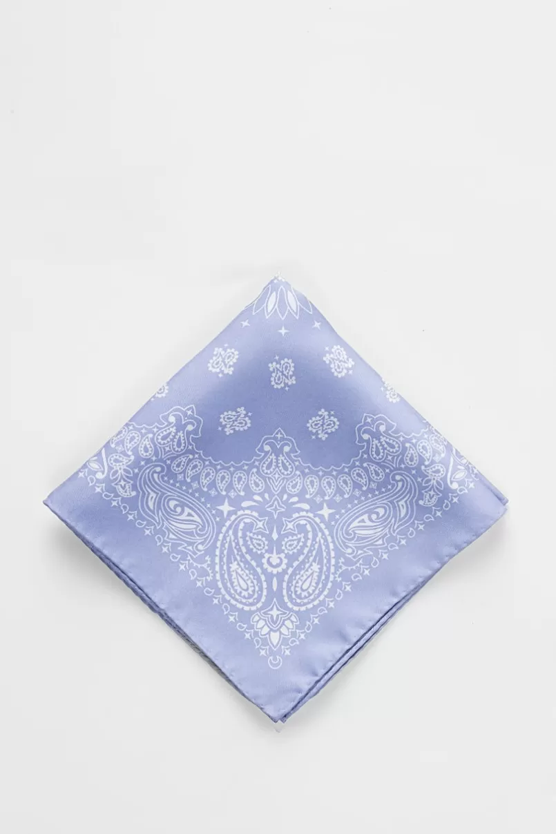 Ties Paisley Pocket Square Light Blue Pocket Square LightBlue&White Discount