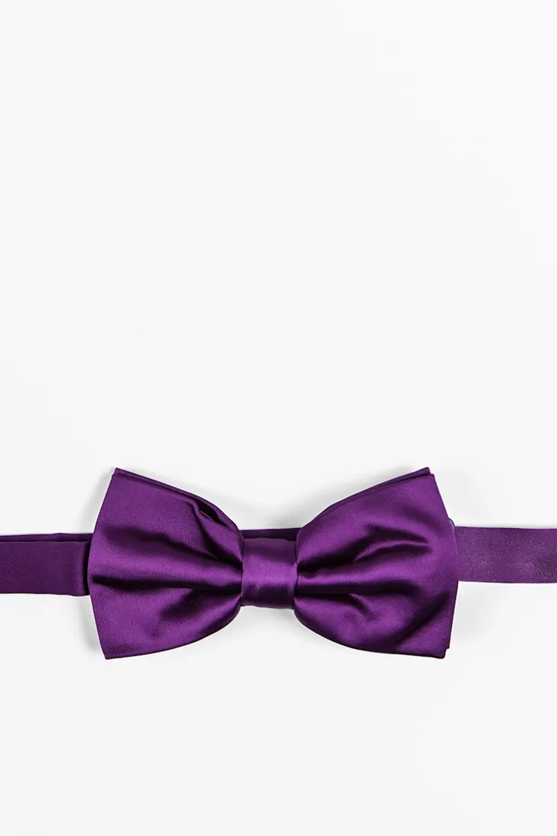 Ties Plum Wine Pre-Tied Bow Tie PlumWine Shop