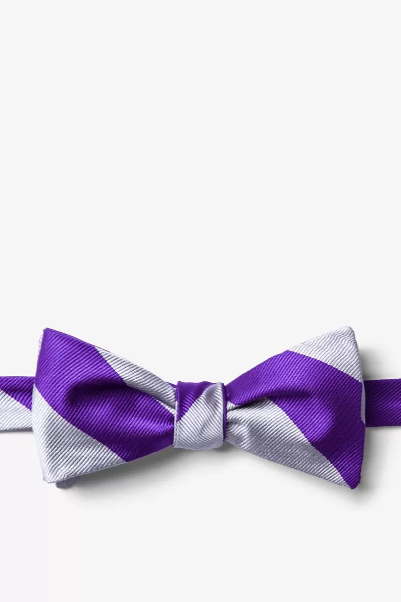 Ties Silver & Purple Stripe Self-Tie Bow Tie Silver&Purple Online